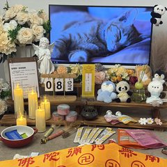 宠物家长客户见证