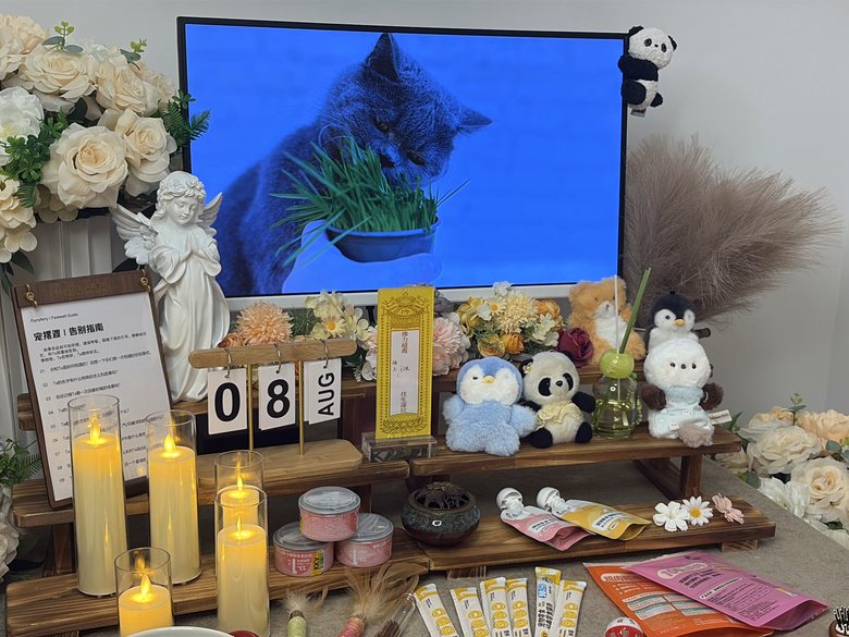 宠物爪印留念与纪念品定制